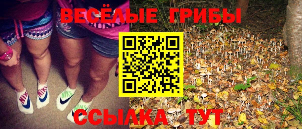 Галлюциногенные грибы Psilocybine cubensis Сыктывкар