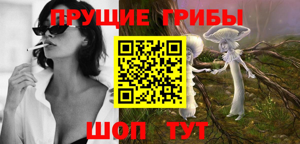 Сыктывкар  как найти закладки  Вход с VPN  Галлюциногенные грибы прущие грибы 