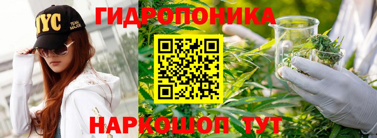 Канабис планчик Сыктывкар
