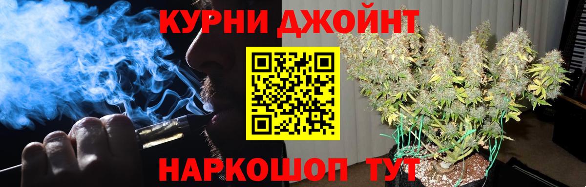 Каннабис MAZAR  Бошки марихуана план  Конопля сатива  Шишки марихуана MAZAR  Сыктывкар  Вход с VPN 